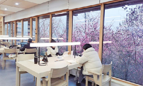 wm视讯案例 | 书香与花香交织，打卡重庆最浪漫图书馆